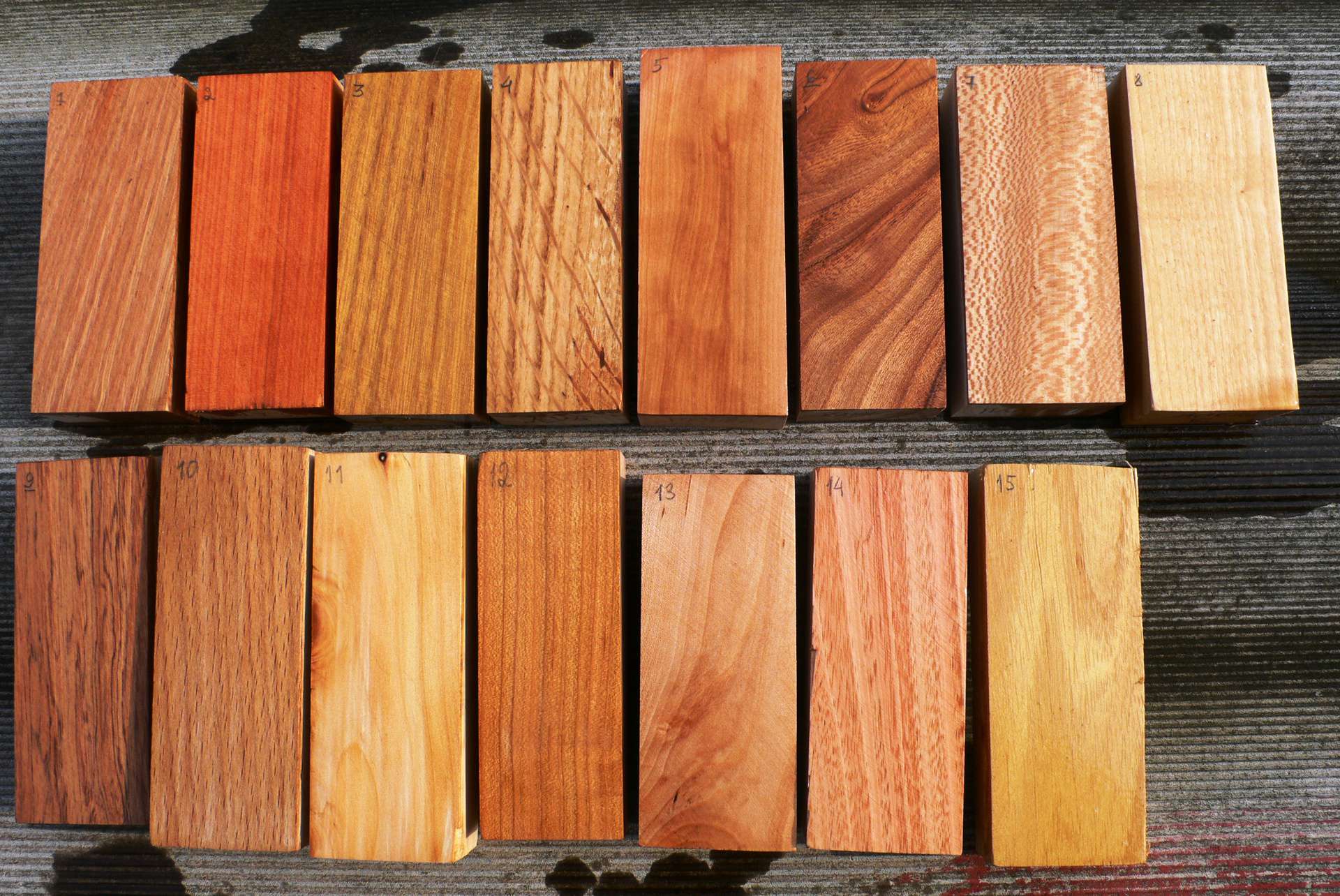 Как выбрать древесину для постройки дома - обзор пород древесины, рекомендации