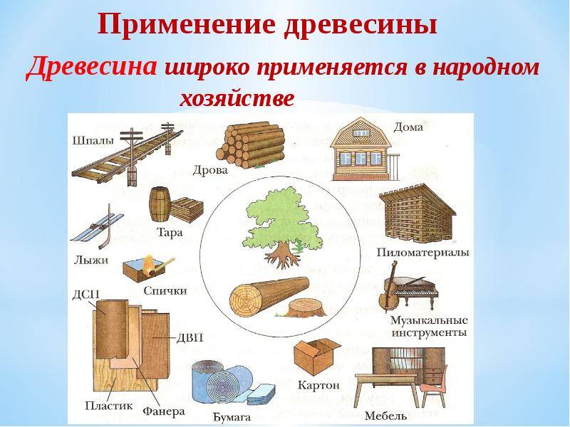 Виды листовых древесных материалов. применение в строительстве и отделке.