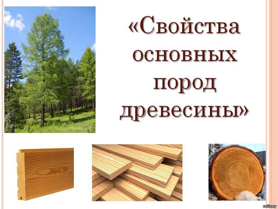 Для отделки стен деревом используется несколько видов материалов Характеристики самых популярных видов древесины для наружных работ, советы по установке