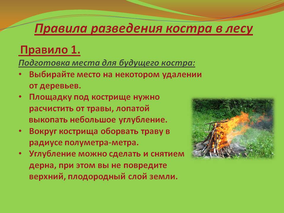 Если костры под запретом: как здорово отдохнуть на природе, не разводя огонь
